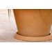 Fang Round Plate