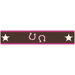 Cowgirl Collection Wall Paper Border  - Cowgirl