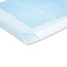 Disposable Drape Sheets, 100/Carton