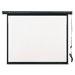 Electric Wall or Ceiling Mount Projection Screen