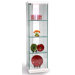 Curio Cabinet