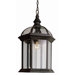 Outdoor 19"  Hanging Lantern