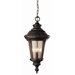 Outdoor 17" x 8"  Hanging Lantern