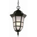 Outdoor  Hanging Lantern in Weathered Bronze