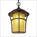 Outdoor One 17" x 12" Light Hanging Lantern in Weathered Bronze