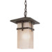 Mission Creek 14" One Light Outdoor Hanging Lantern in Antique Rust
