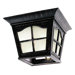 Outdoor One Light Flush Mount in Black