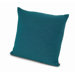 Nabal 24"x24" Pillow