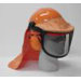 Hearing Protection System - Hard Hat, Metal Mesh Visor, Rain Shield & Hearing Protection