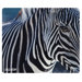 NatureSmart Zebra Mouse Pad
