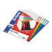 Clear Poly Index Folders, Letter, 10/Pack
