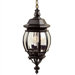 3 Light Hanging Lantern Pendant