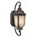 Frances II Medium Exterior Hanging Wall Mount Lantern in Oiled Bronze