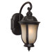 Frances II 6.25" Outdoor Wall Lantern in Oiled Bronze - Energy Star