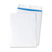 Catalog Envelope, 10 X 13, 100/Box