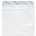 Expansion Tyvek Envelope (100 Count)
