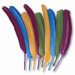 Quill Feathers, Assorted Colors, 24 Feathers per Pack                                                                        