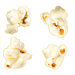Classic Accents Popcorn Mini