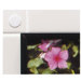Sticky Back Tape, 3/4"x18", White