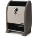 Heater with Temperature Regulation System
