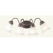 Chelsea Four Light Vanity Light in Weathered Brick