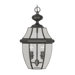 Monterey Outdoor Hanging Lantern in Black