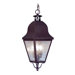 Amwell  Outdoor Hanging Lantern in Bronze