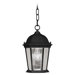 Hamilton Outdoor Hanging Lantern in Black