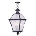Waldwick Four Light Outdoor Hanging Lantern in Bronze