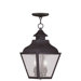 Vernon Light Outdoor Hanging Lantern