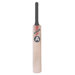 Professional Cricket Bat