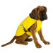 Rainwear Waterproof Breathable Taxi Yellow Dog Coat