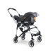 Bee Chicco Car Seat Adaptor
