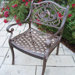 Hummingbird Dining Arm Chair