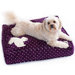 Mr. Postman Dog Duvet