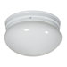 Leslie Flush Mount