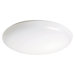 1 Light Flush Mount