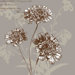 Hydrangea Bloom II Canvas Art