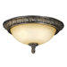 Two Light Ceiling Fan Light Kit