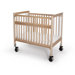 Clear View Folding Rail Evacuation Crib