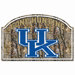 NCAA Wood Sign - University of Minnesota / Camo