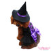 Witch  Dog Costume