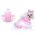 Barktoria's Secret Dog Costume