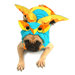 Colorful Owl Dog Costume