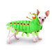 Caterpillar Dog Costume