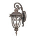 Corniche  Arm Down Wall Lantern in Burlwood