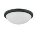 Button Energy Star Flush Mount
