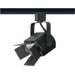 One Light Power Flood with Barndoor Track Head in Black