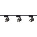 Three Light Low Voltage Round Back Track Light Kit in Black