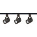 Three Light Line Voltage Round Back Track Light Kit in Black